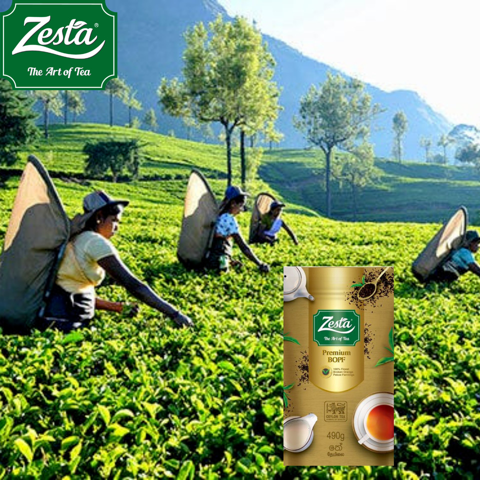 Premium Quality Real Sri Lankan Black Tea- BOPF 490g, 390g, 190g, 95g Packets