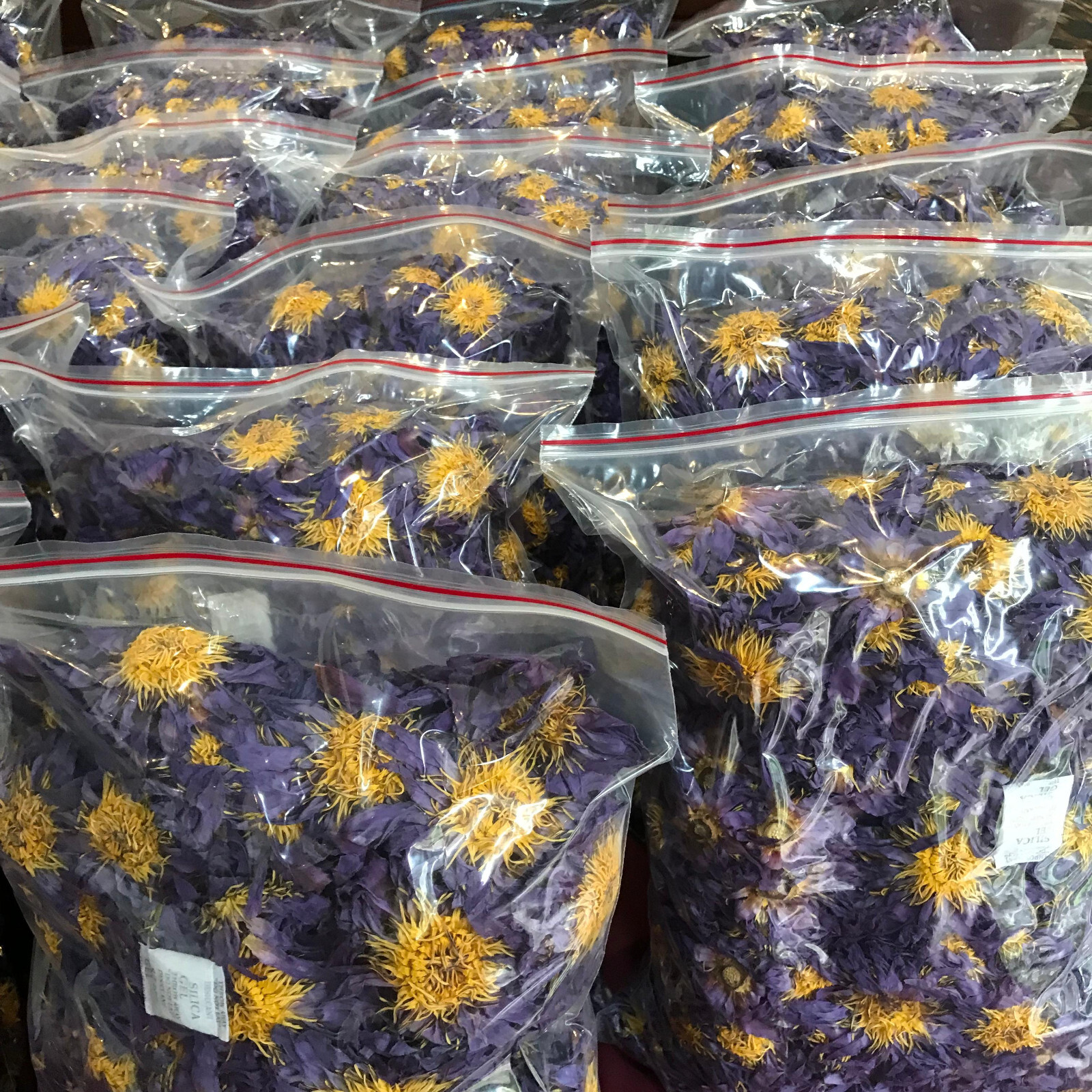 Dried Blue Lotus 2kg Nymphaea Caerulea Hand Pick Ceylon Flowers Organic Tea