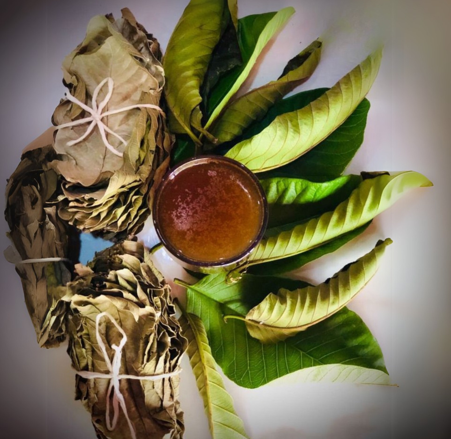 Organic Guava Leaf Tea from Sri Lanka | Pure Dried Leaves (Non-GMO) 50g to 2kg