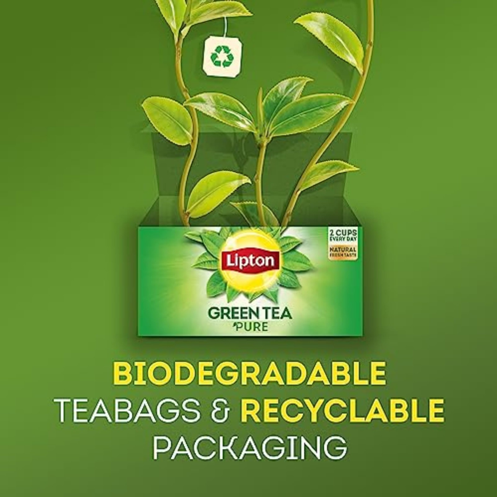 Lipton Decaf Green Tea Bags, Unsweetened Iced or Hot 240 Bags