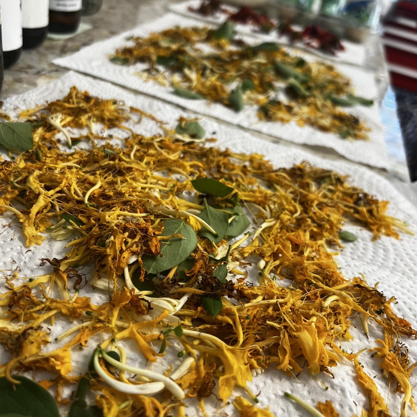 Premium Loose Leaf Tea Japanese Honeysuckle Flower Buds Herbal Tea Natural 7g