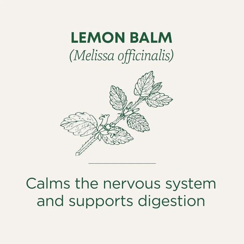 Traditional Medicinals Organic Lemon Balm Tea, 16 Tea Bags