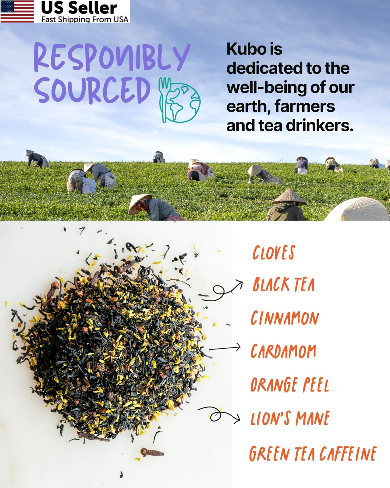 Kubo Lion’s Mane Chai Tea Bags | Organic High Caffeine (155mg) Black +…