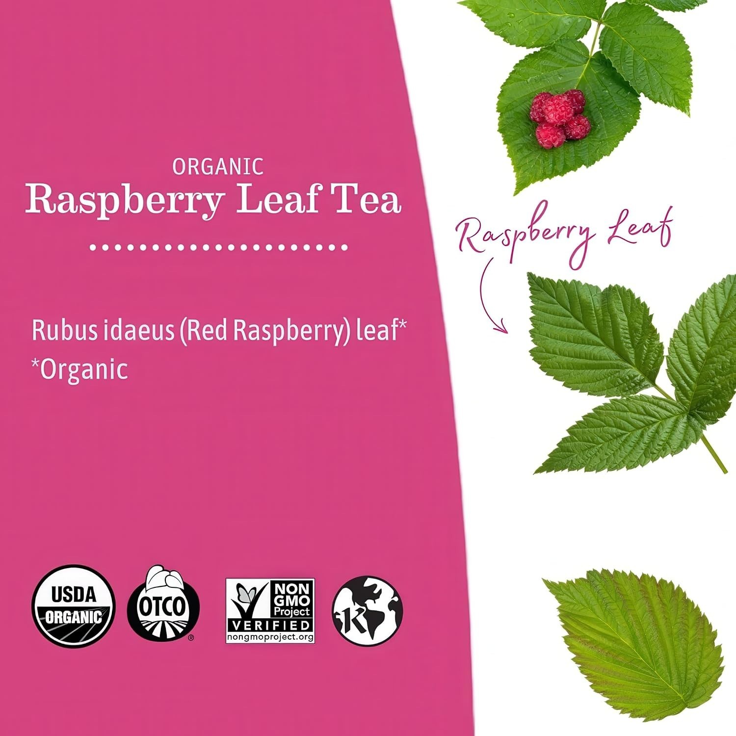 32 Count Organic Raspberry Leaf Tea for Pregnancy & Postpartum Care | Non-GMO
