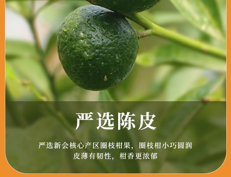 50pcs Chenpi Gongmei White Tea Cake Fuding Xinhui Aged Puerh Tea