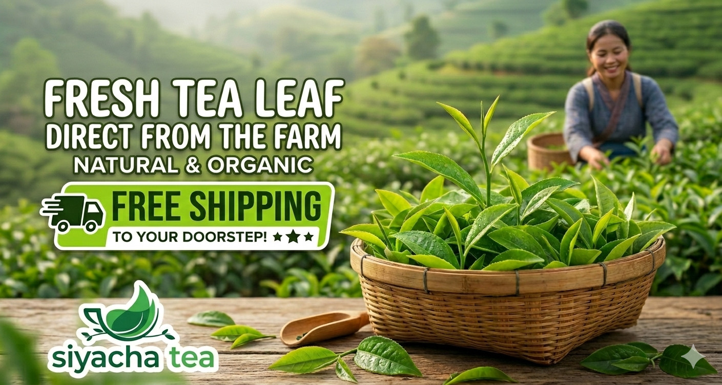 Darjeeling First Flush Tea 2026 Fresh SFTGFOP Whole Leaf Blend 500g
