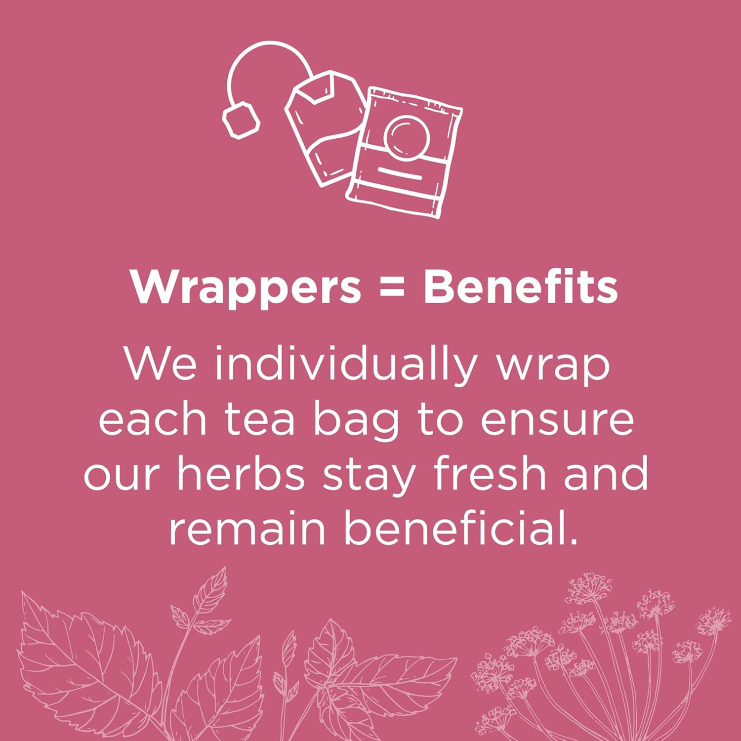 Traditional Medicinals Organic Raspberry Leaf Tea, Menstrual & Pregnancy 48 Bags