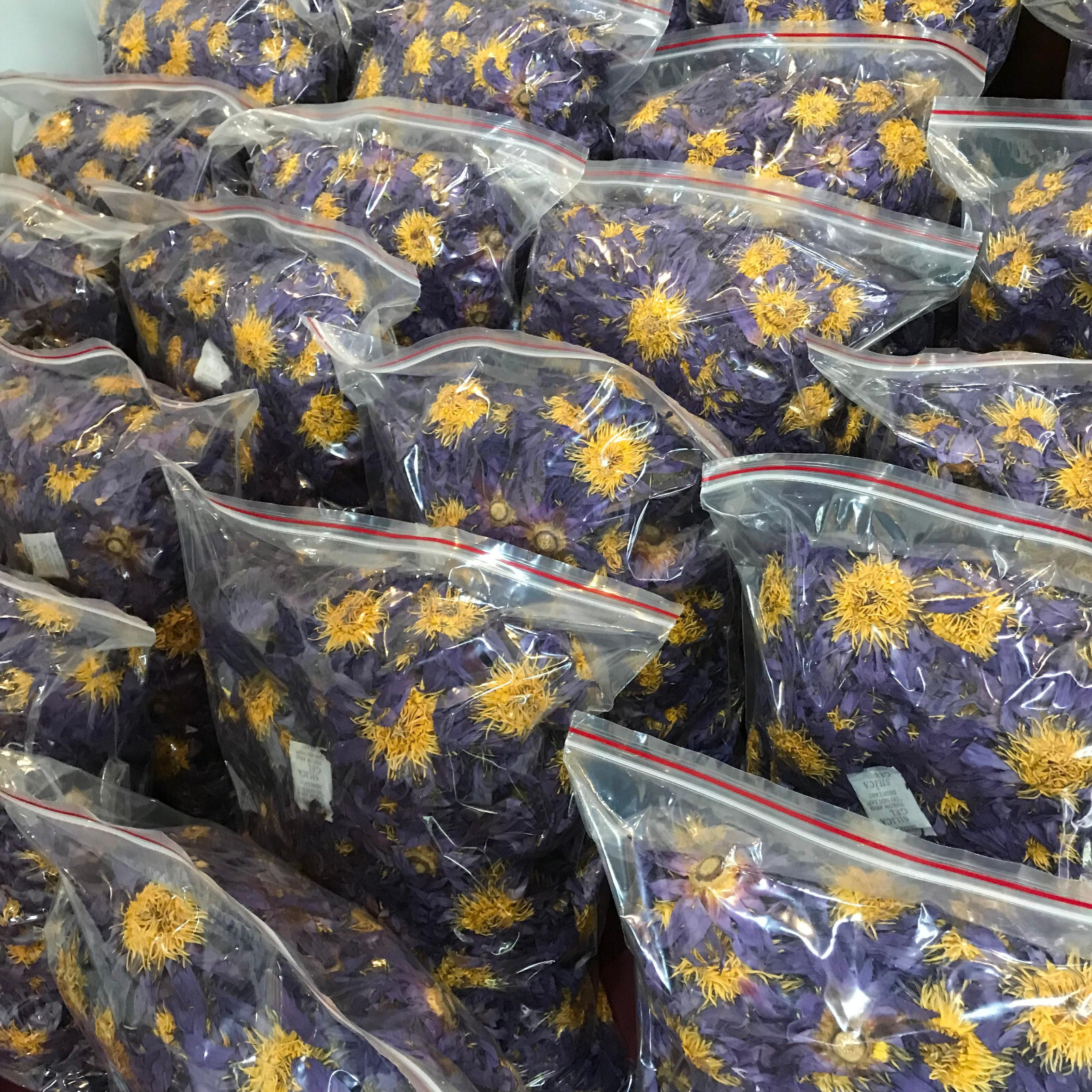 Blue Lotus Nymphaea Caerulea 100% Organic Hand Picked Pure Dried Flowers Tea