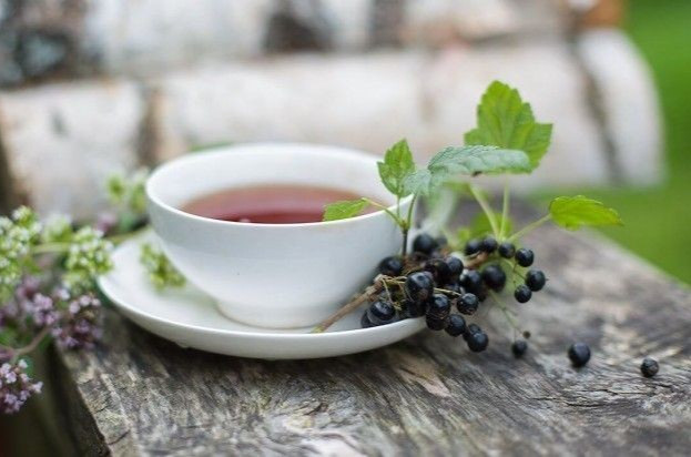 Carpathian Tea Blackcurrant 100g (Product of Ukraine) / Карпатский чай с травами