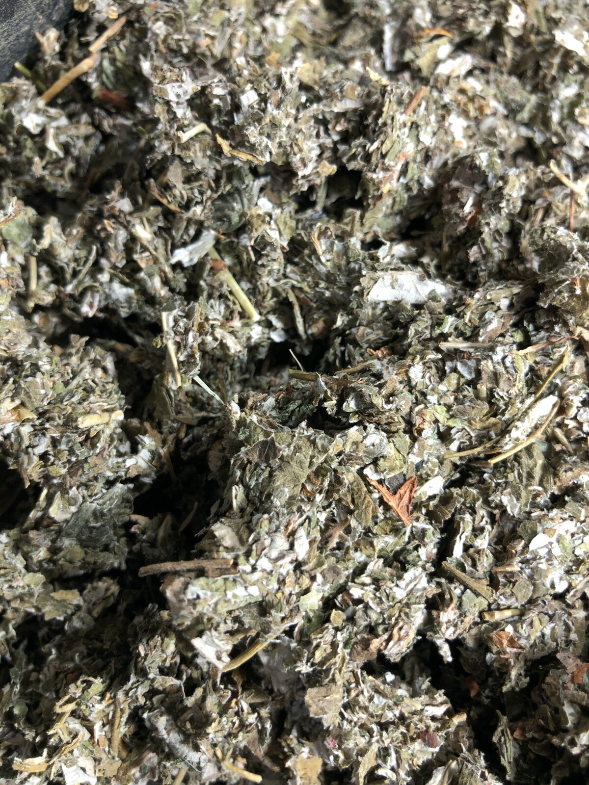 Organic Red Raspberry Leaf Wild Crafted Cut Bulk Herb Rubus Idaeus ounce pound