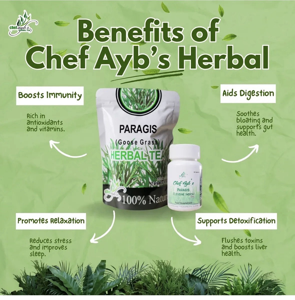 Chef Ayb’s Paragis Herbal Tea 100% Natural Caffeine-Free 2g x 10 Sachets