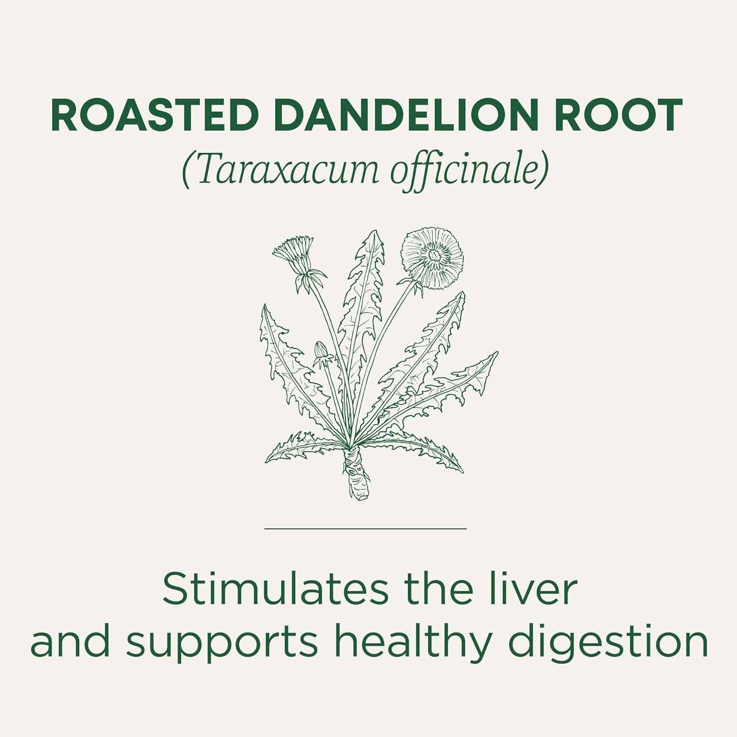 16 Compostable Tea Bags of Organic Roasted Dandelion Root – Caffeine-Free Relief