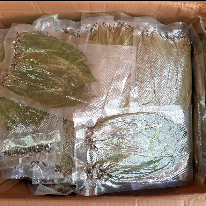 2200 Dried Soursop Leaves- Annona HOJAS DE GUANABANA GRAVIOLA Quality Herbal Tea