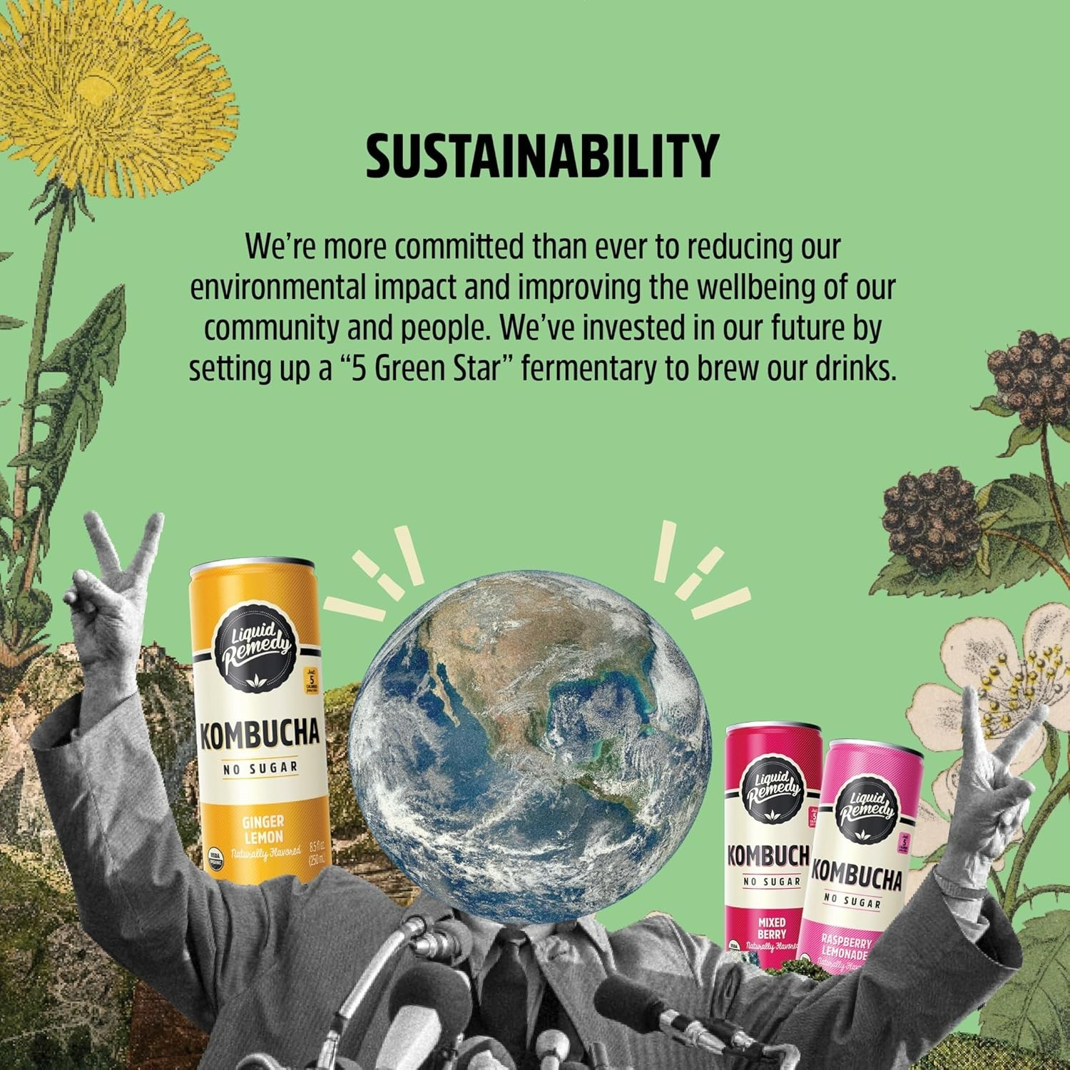 Liquid Remedy Kombucha Sugar Free Organic Drink, Low Calorie, Probiotic Like Tea