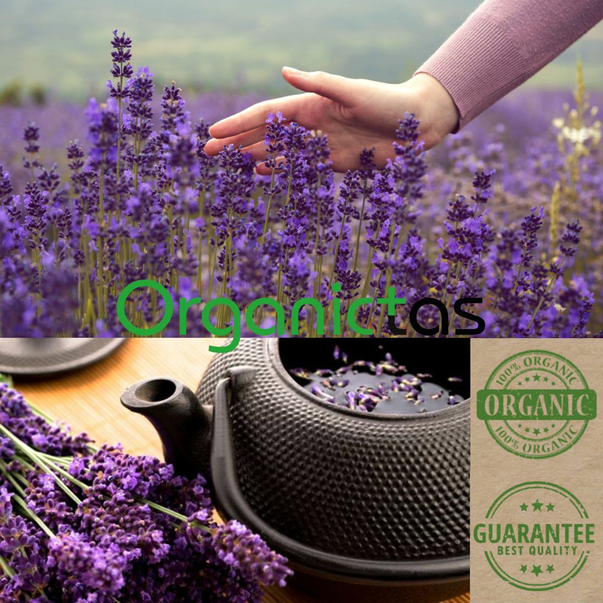 100g Organic LAVENDER FLOWER Herbal Tea Natural Scent & Aroma Premium Quality