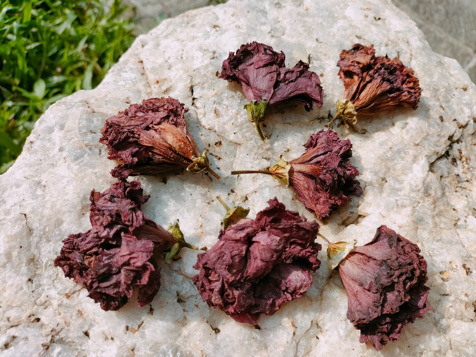 Greek Organic Hibiscus Dried Flowers Pcs Hibiscus Sabdariffa 25 Pcs Flowers New