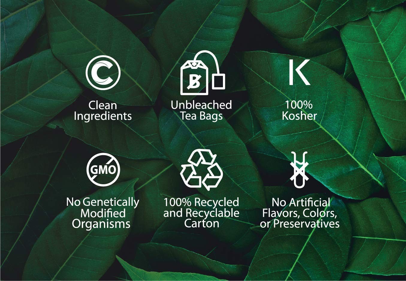 – Organic Mugwort Tea – Tea – Single Ingredient – Earthy, Mild Bitter Taste &…