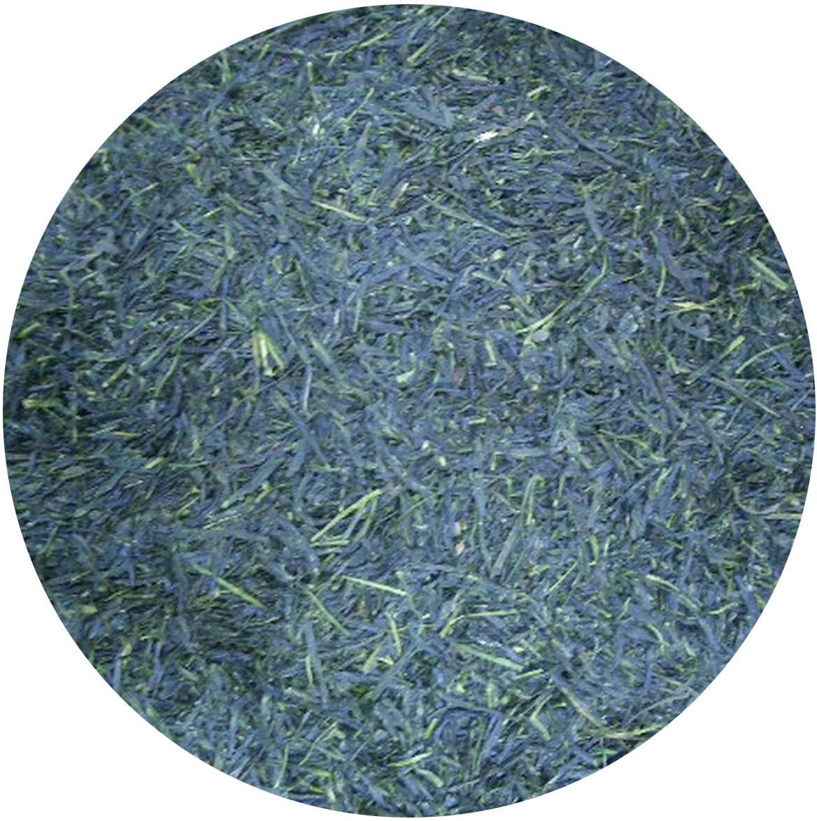 Japanese Green Tea NEW Gyokuro 100g(3.5oz)
