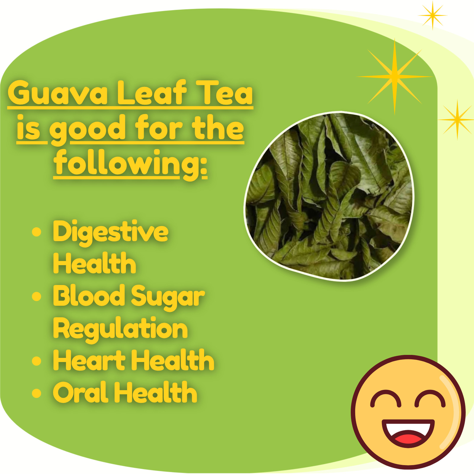 100g – Premium Dried Guava Leaves Hojas De Guayaba Leaf