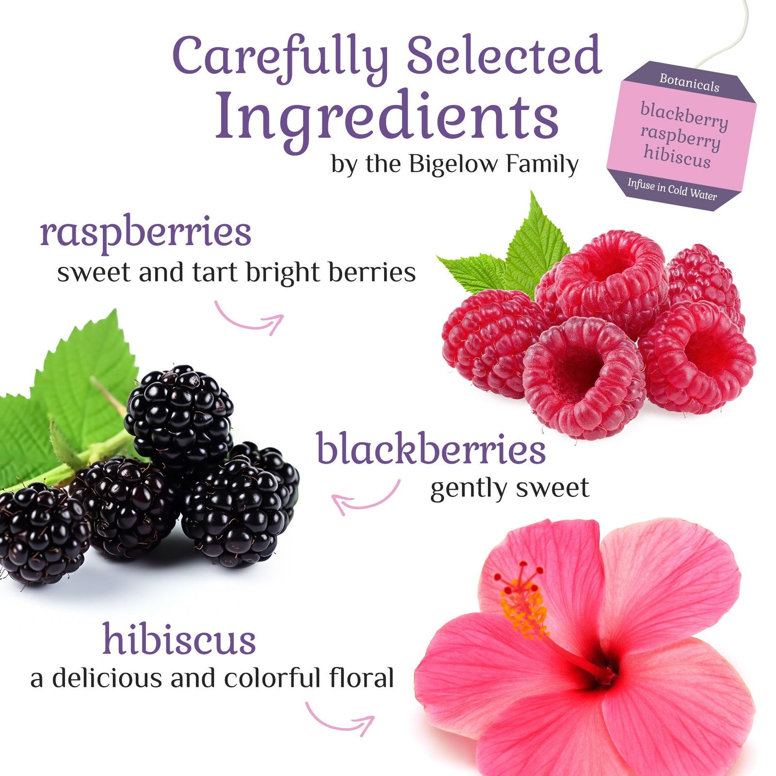 Caffeine-Free Blackberry Raspberry Hibiscus Herbal Tea, 18 Bags per Box, 6 Pack