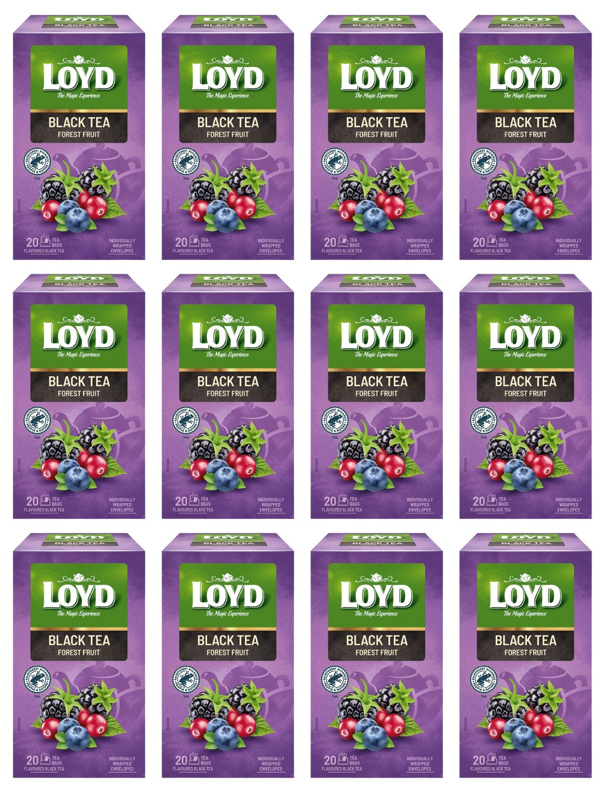 12 LOYD FOREST FRUIT Flavor Black Tea 20 Teabags Boxes 34g 1.2oz