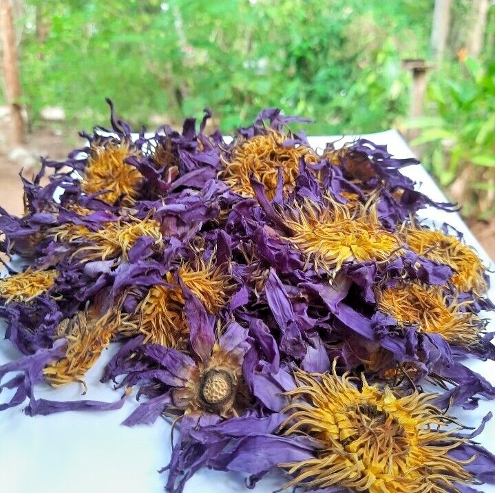 180g Dried Blue Lotus Flower Nymphaea Caerulea Natural Hand Picked Flower Herbal
