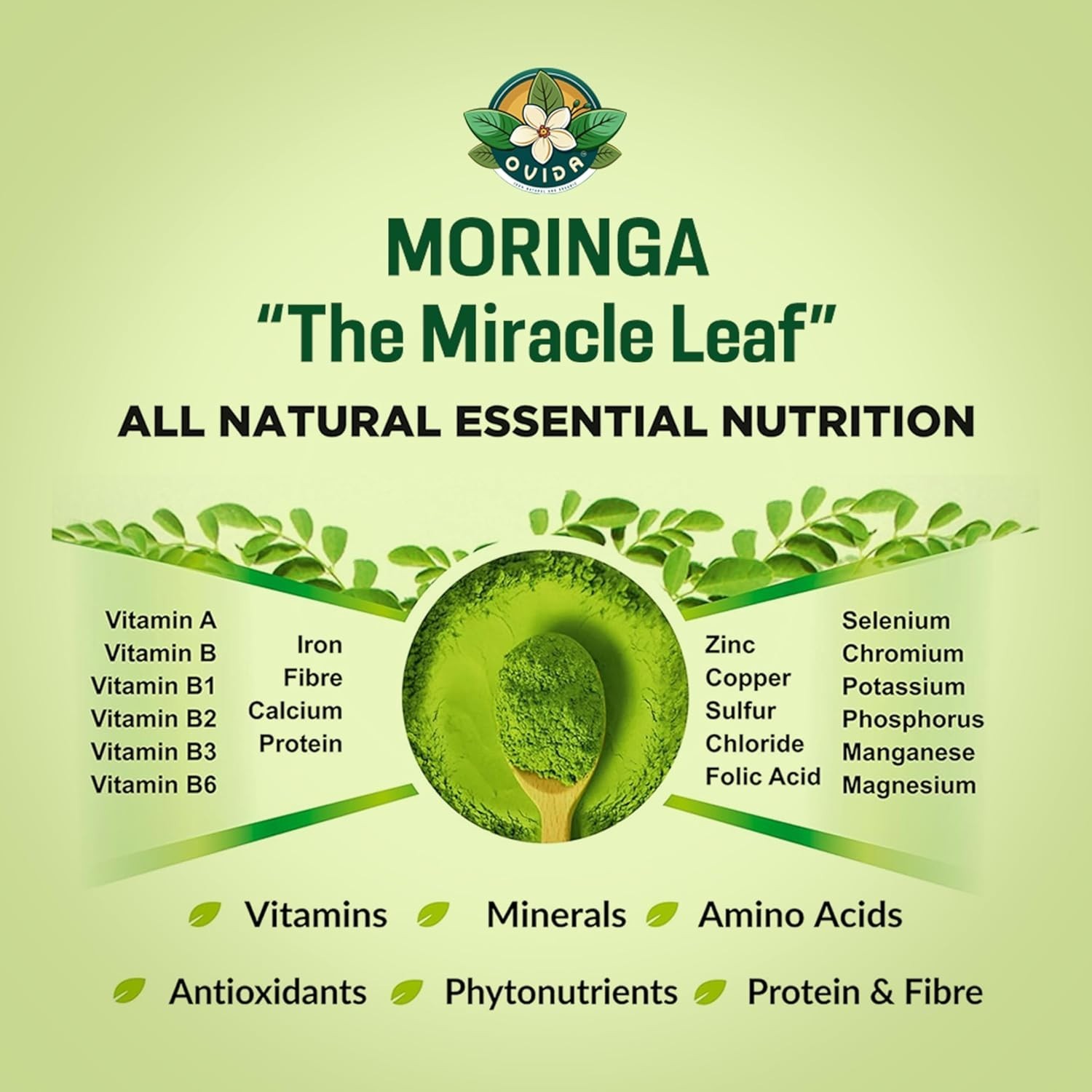 Organic Moringa Leaf Powder, Caffeine Free Powder, Smoothie & Tea Blend 4 oz