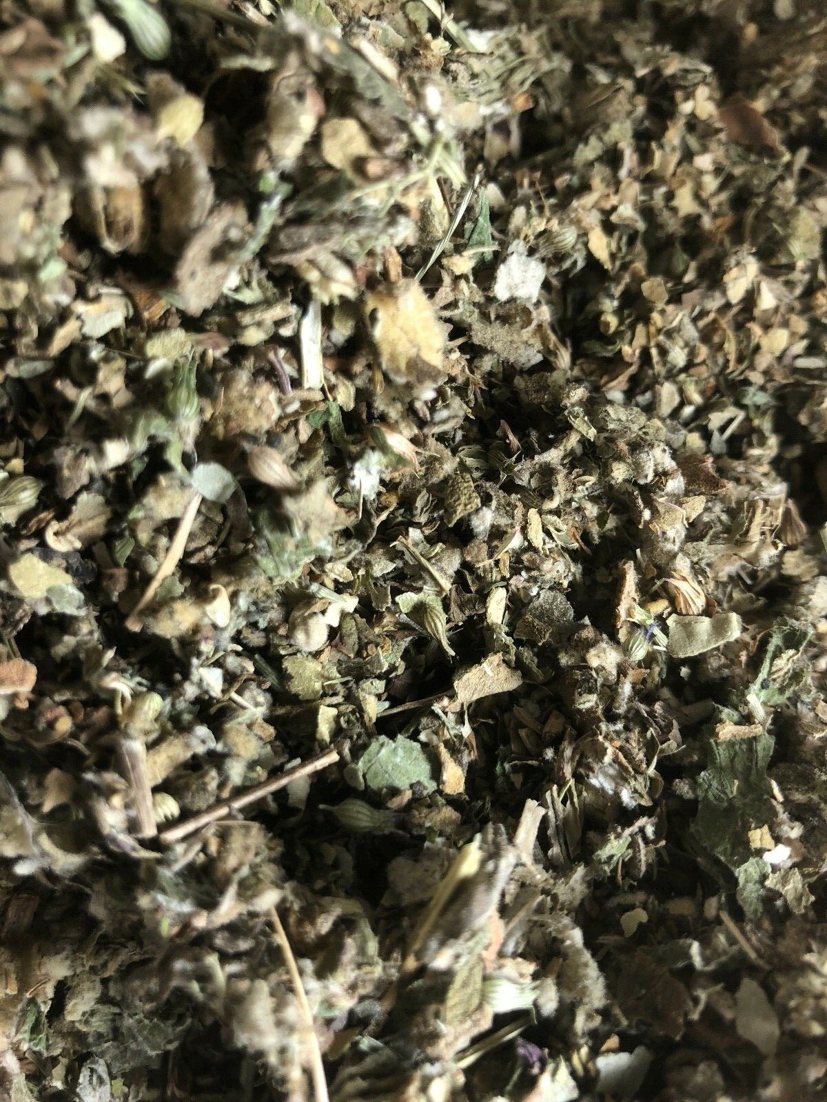 No.23 Mix Organic Osha Root Lobelia Mullein Coltsfoot Catnip Raspberry Spearmint