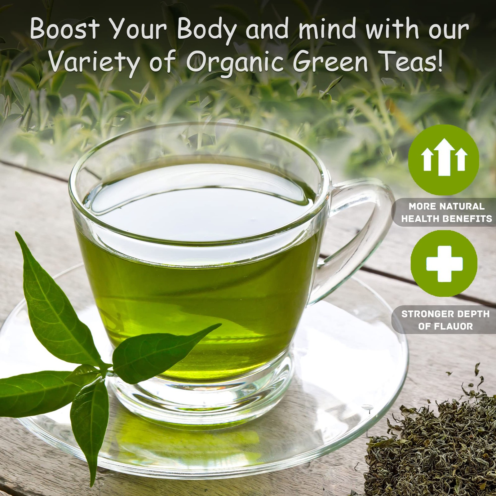 100% Organic Ceylon Green Tea – 50 Packets – Natural Antioxidant Rich Herbal …