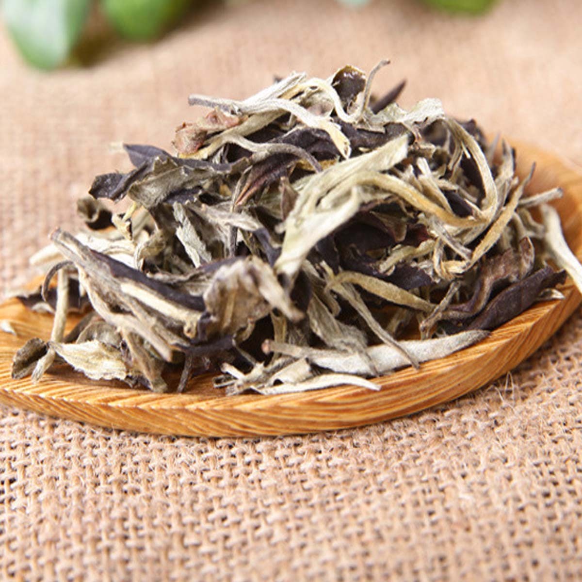 Premium Yunnan Moonlight White Pu’er Tea 357g Natural Raw Yueguangbai Cake