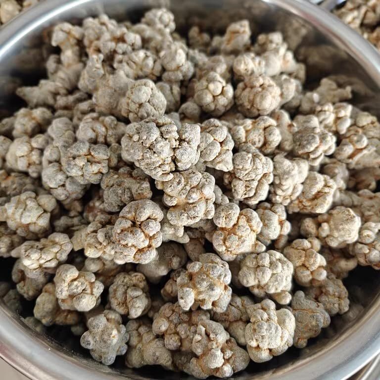 Panax Notoginseng Root Sanqi Yunnan Natural San Qi Tea Radix Tian Qi