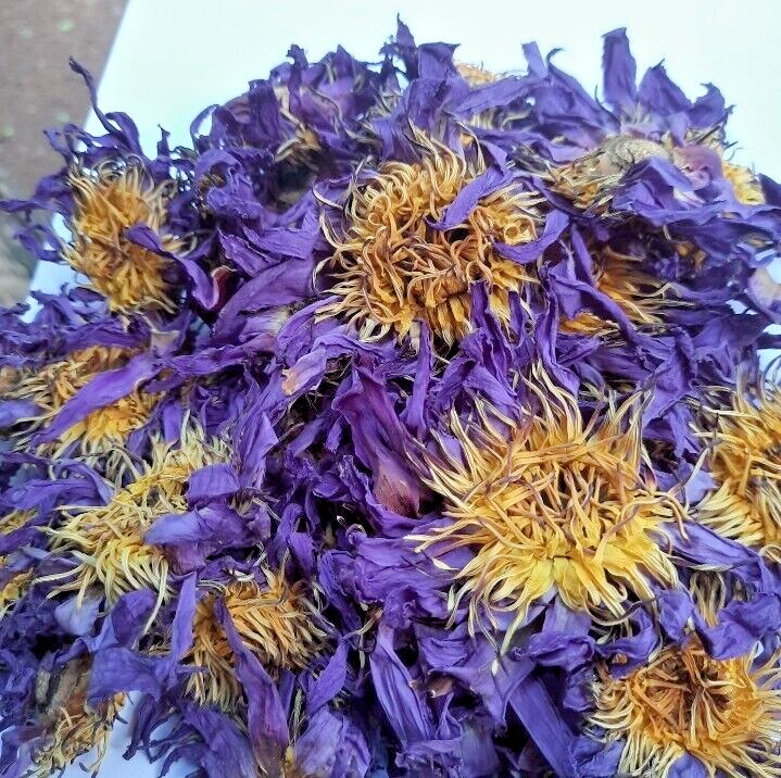 180g Dried Blue Lotus Flower Nymphaea Caerulea Natural Hand Picked Flower Herbal