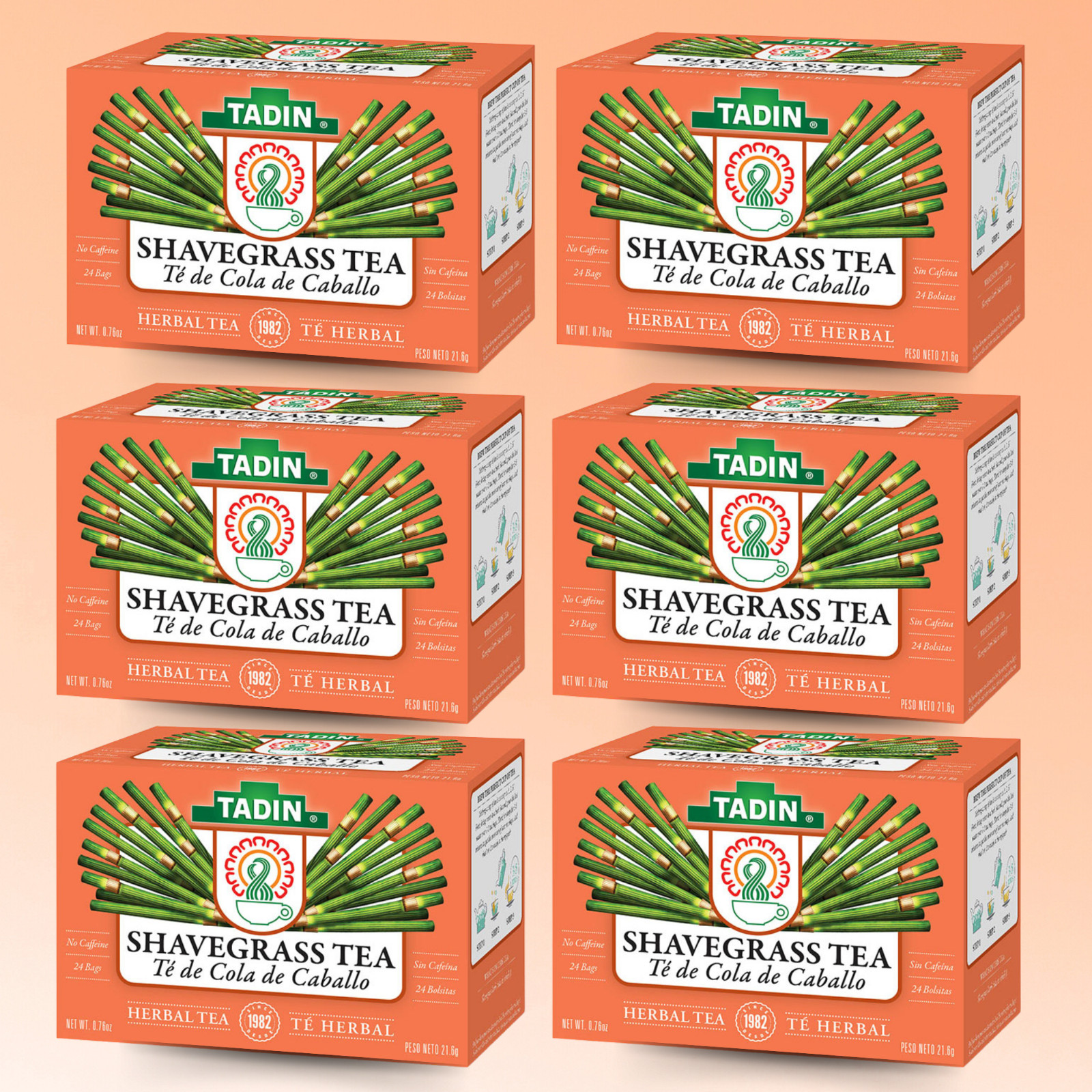 Tadin Shavegrass Tea, 24 Bags 0.76 fl oz, Herbal & Caffeine-Free (6-Pack)