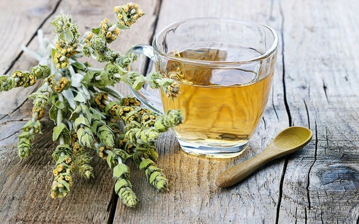 Greece Mountain tea wild organic bunch sideritis scardica ironwort handpicked