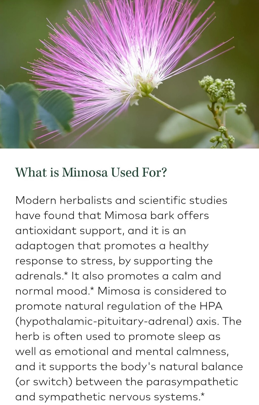 Albizia Julibrissin Mimosa Flower Dried Pink Blossoms Tea Herb Brew Organic