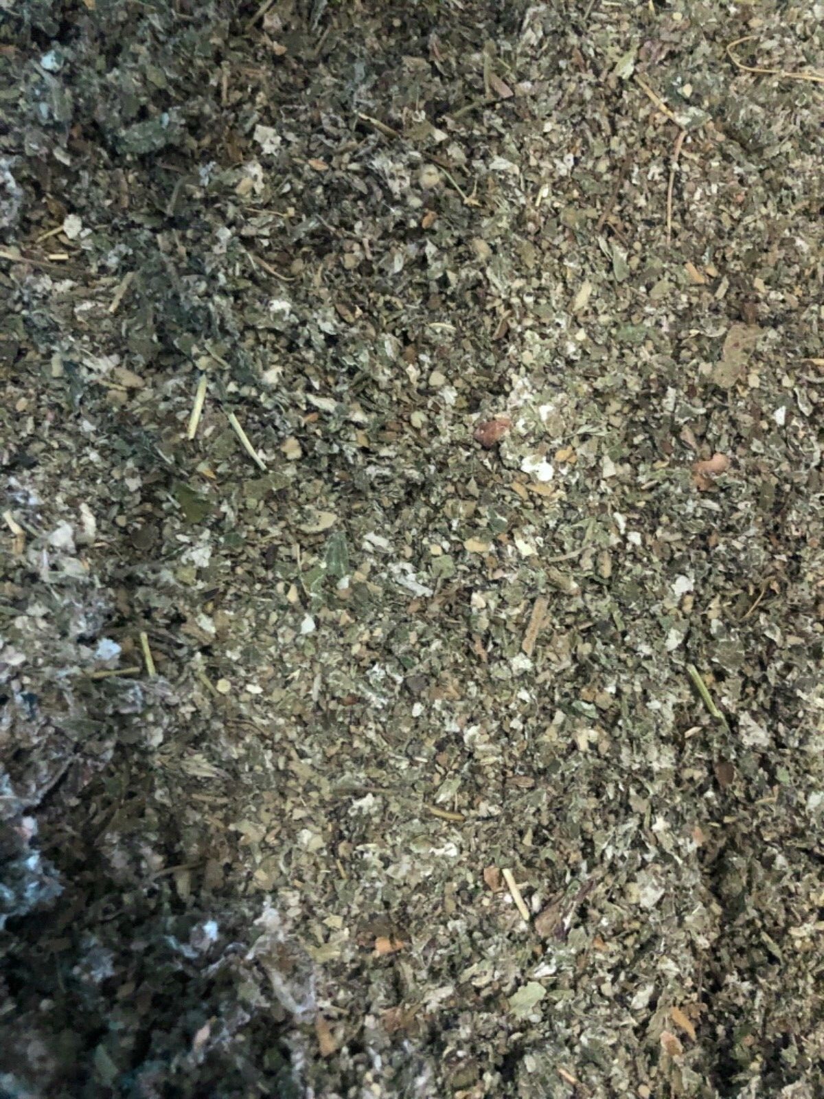 MULLEIN + RASPBERRY smokin-hot deal herb blend organic leaf tea mix -ounce POUND
