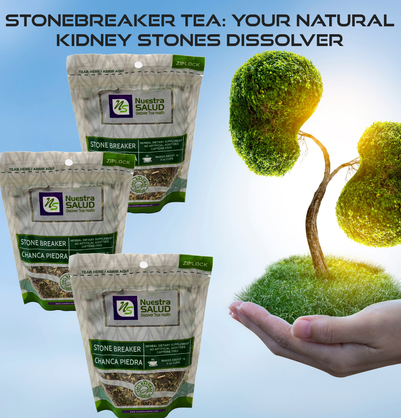 Chanca Piedra Tea Stonebreaker Herbal Tea (120g) Quebra Pedra Te