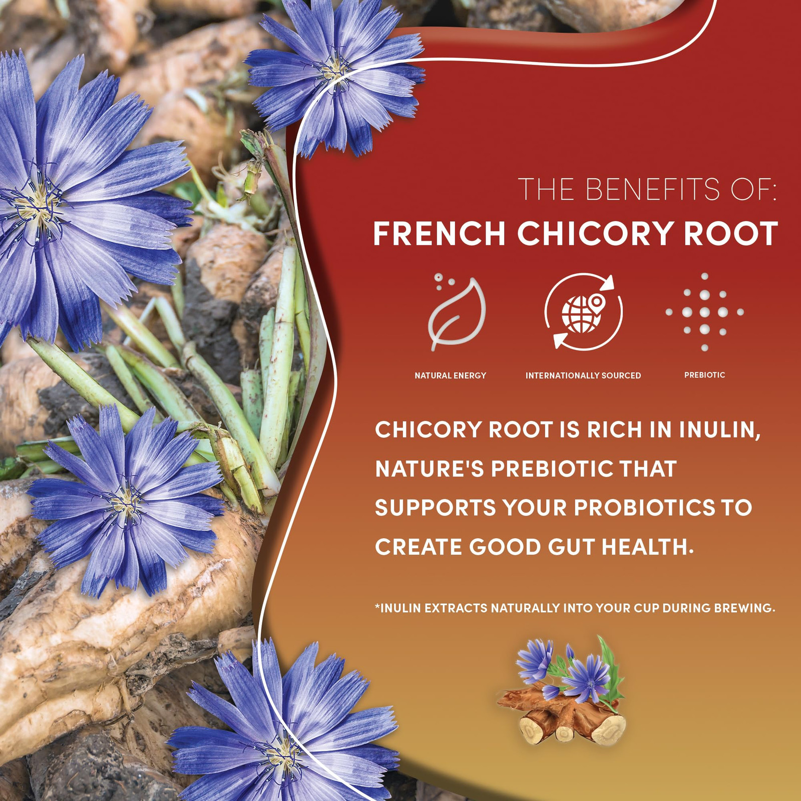 Chaga Ashwagandha Tea – Butterscotch Cream – Organic Mushroom Adaptogenic Her…