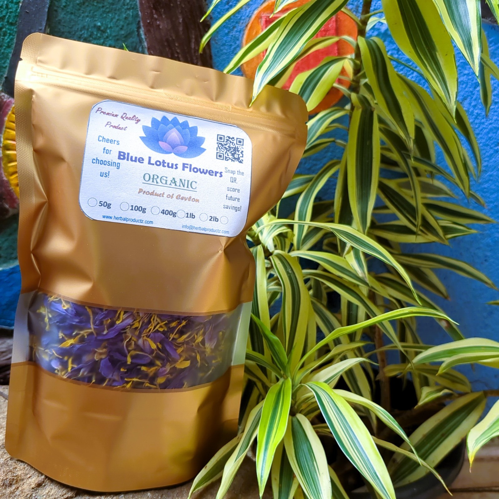 Blue lotus Flower Petals Dried Flower Organic Pure Natural Ceylon Herb Tea/Smoke