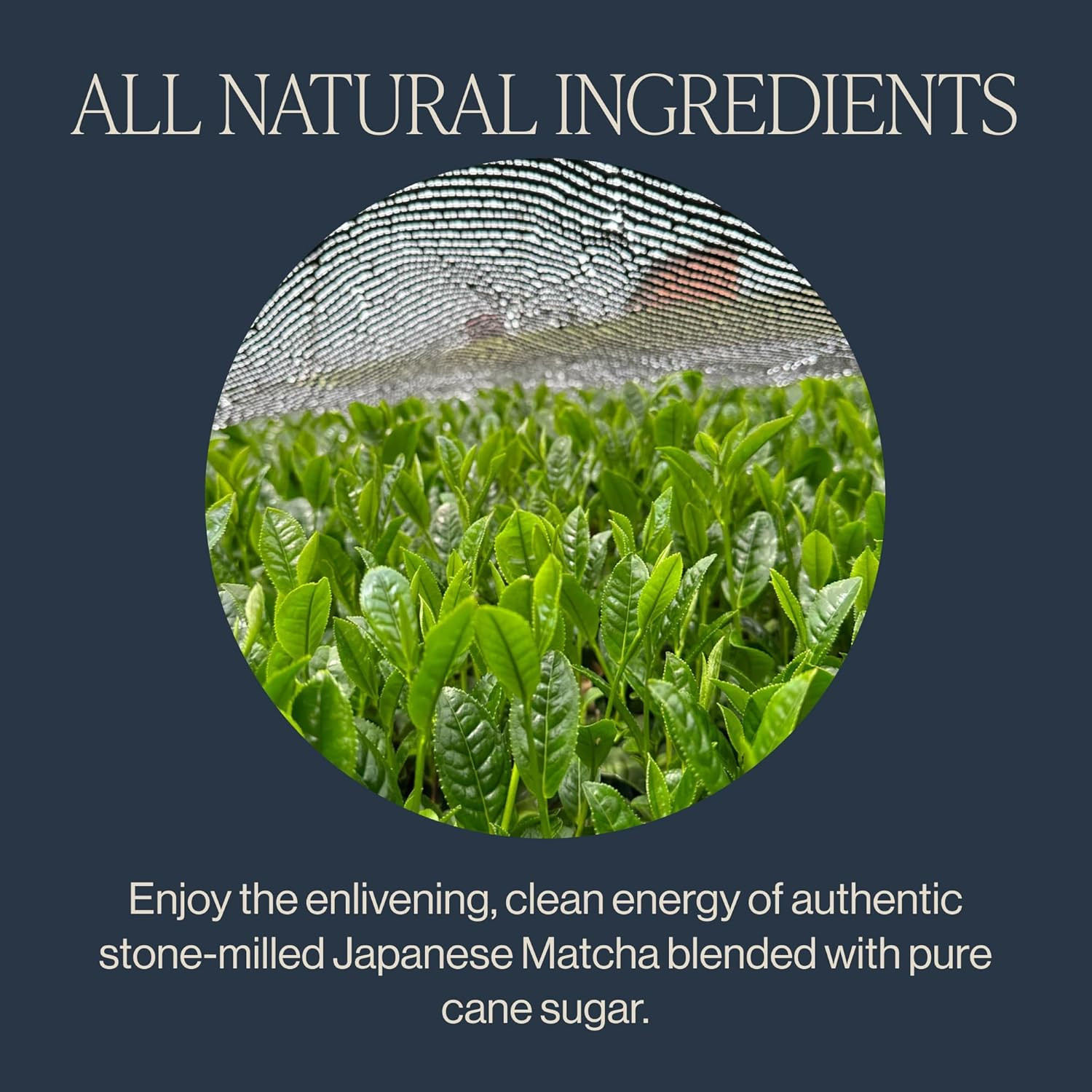 Matcha Bundle – Organic Sweet & Unsweet Green Tea Powder 3.52oz & 4.4oz