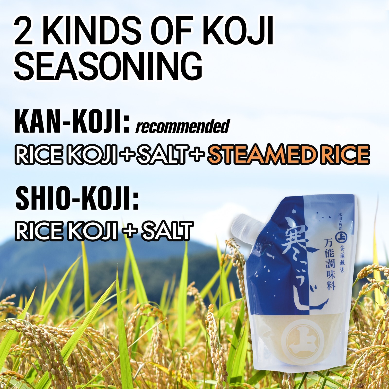 Japanese traditional all-purpose umami seasoning of rice paste for aging marina