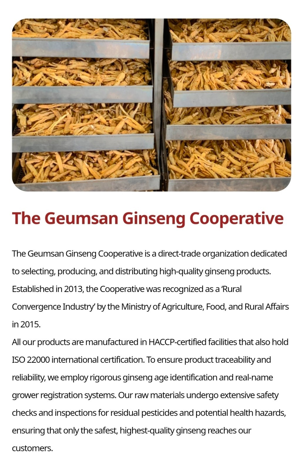 [Geum San Ginseng Nonghyup] Korean Red Ginseng Paste 240g*3