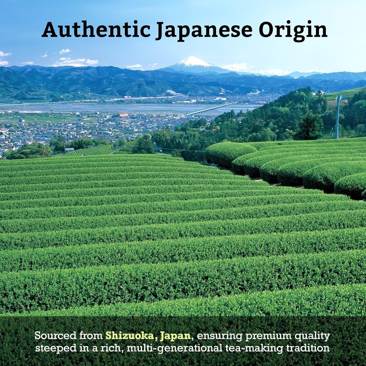 Japanese Sencha Fukamushi Green Tea Loose Leaf Bulk .0 lb 454 g