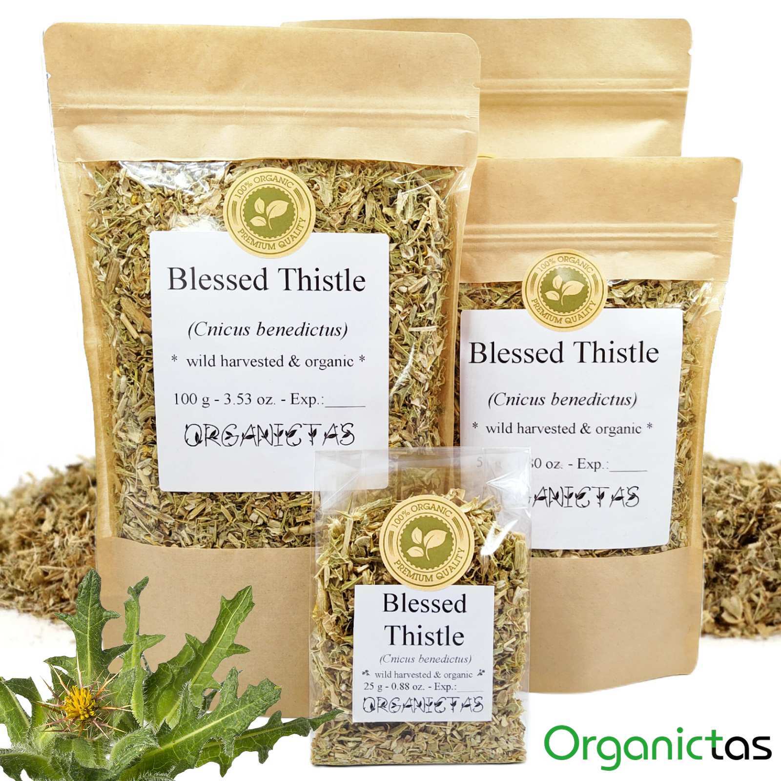 Organic Blessed Holy Thistle Tea Cnicus Benedictus Dried & Loose Premium Qualtiy