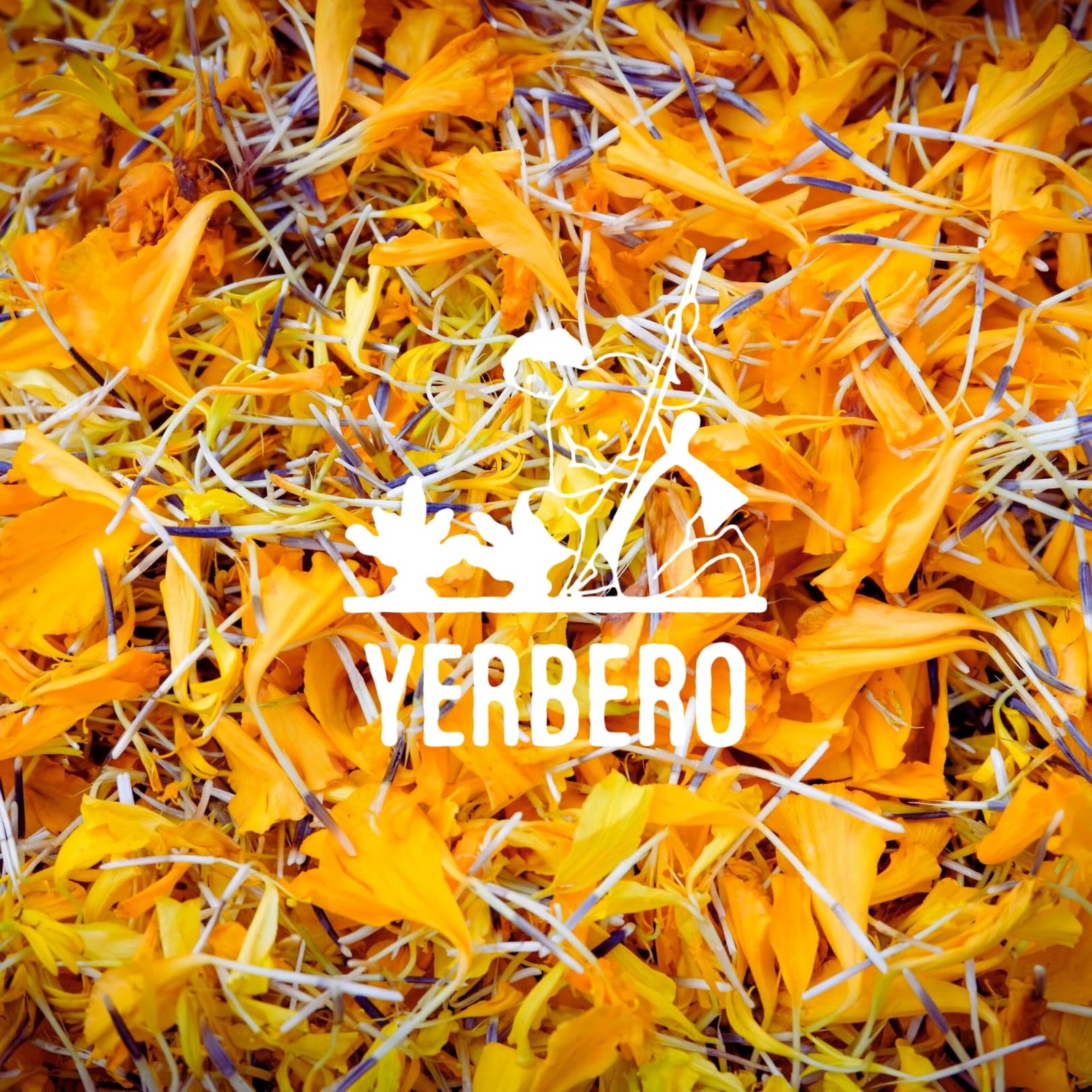 Yerbero Calendula Flowers Loose Herbal Tea 2oz (56g) | Marigold Flowers | Flo…