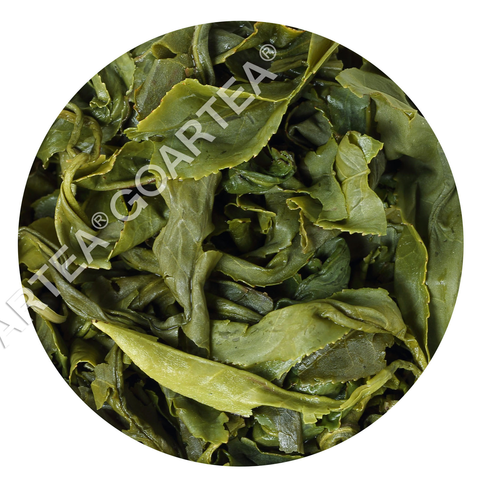 GOARTEA Premium Suzhou Biluochun Green Tea Spring Chinese Pi lo Chun Snail Shape