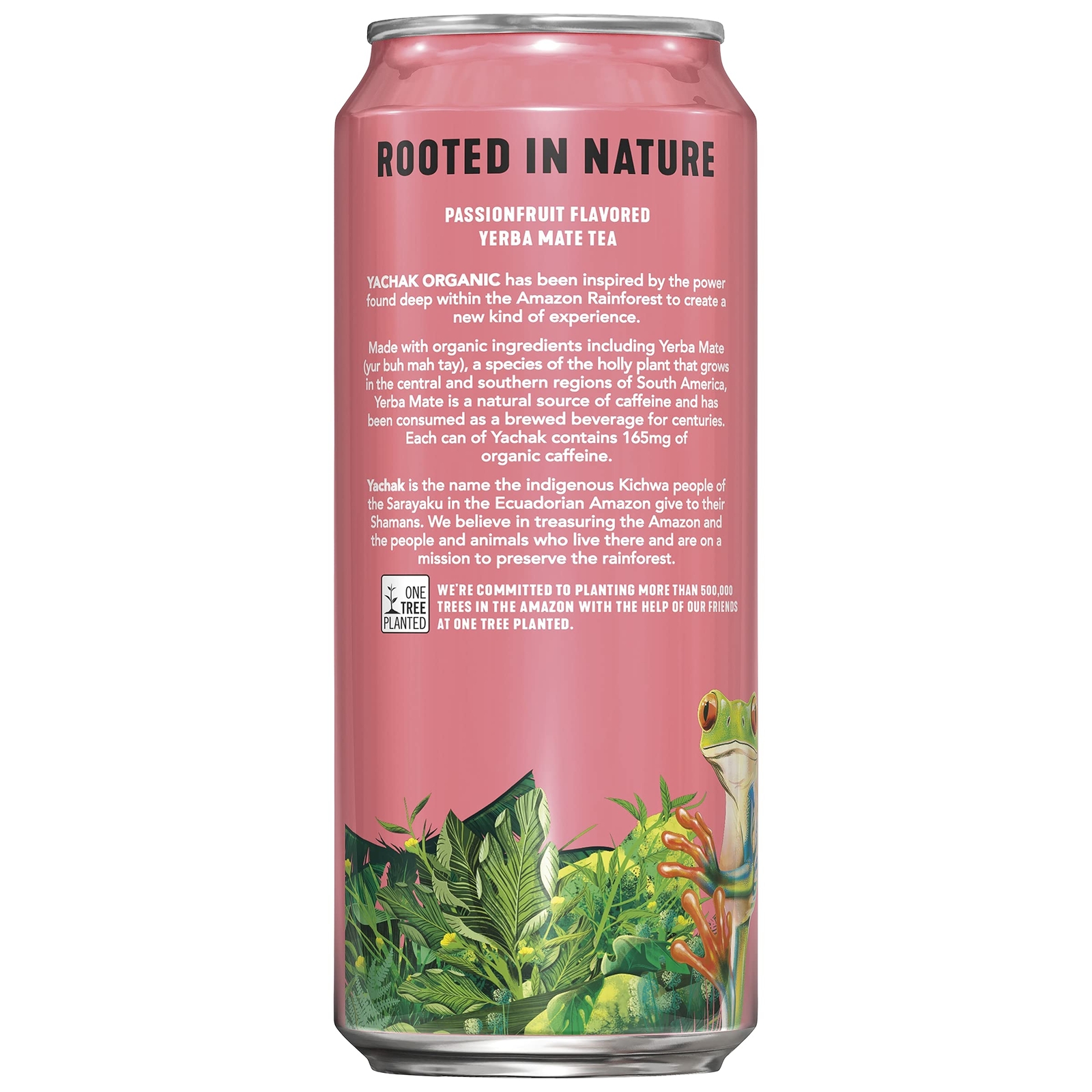 YACHAK Organic Yerba Mate Passionfruit 16 Fl Oz Pack of 12 Cans