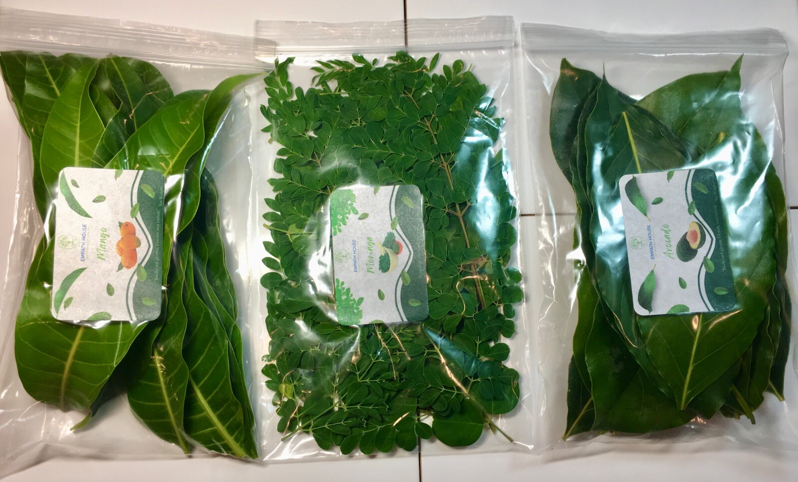 Fresh Mango Leaves Moringa Leaves & Avocado Leaf Mix Combination Freshly Picked