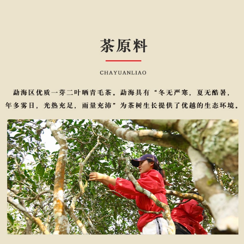 Keyixing Jie Yi Kou 2020 Raw Pu-Erh Tea Cake 357g