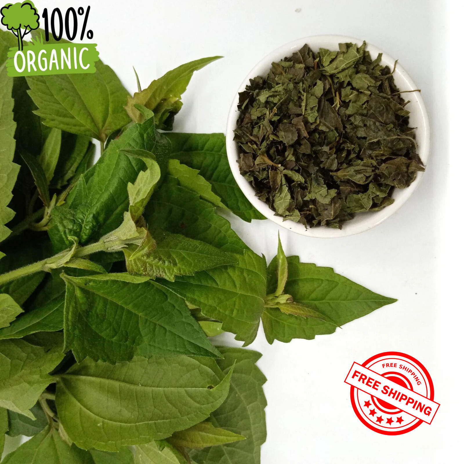 Pure Mexican Dream Herbs dried Calea Zacatechichi for Herbal Tea – More Benefits